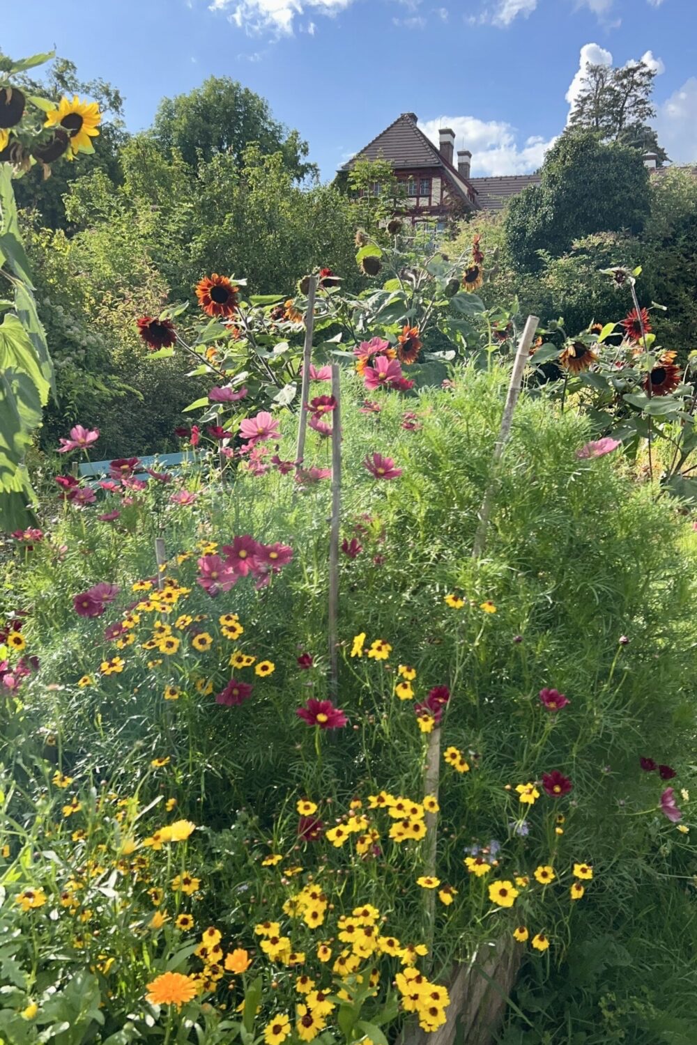 PermaKultur im Botanischen Garten